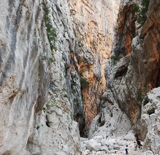 Casa Rustica Daire *